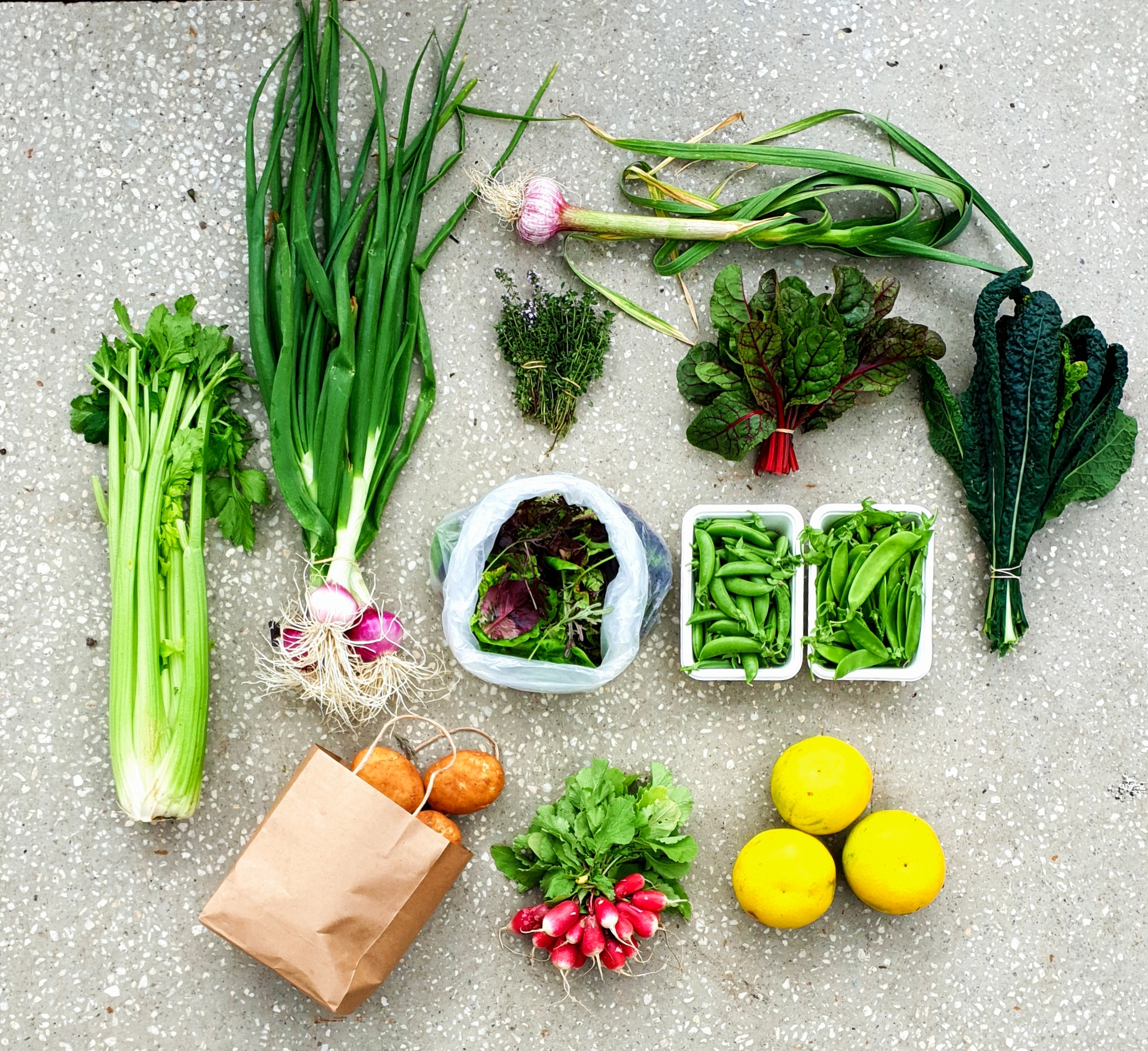Veggie Boxes