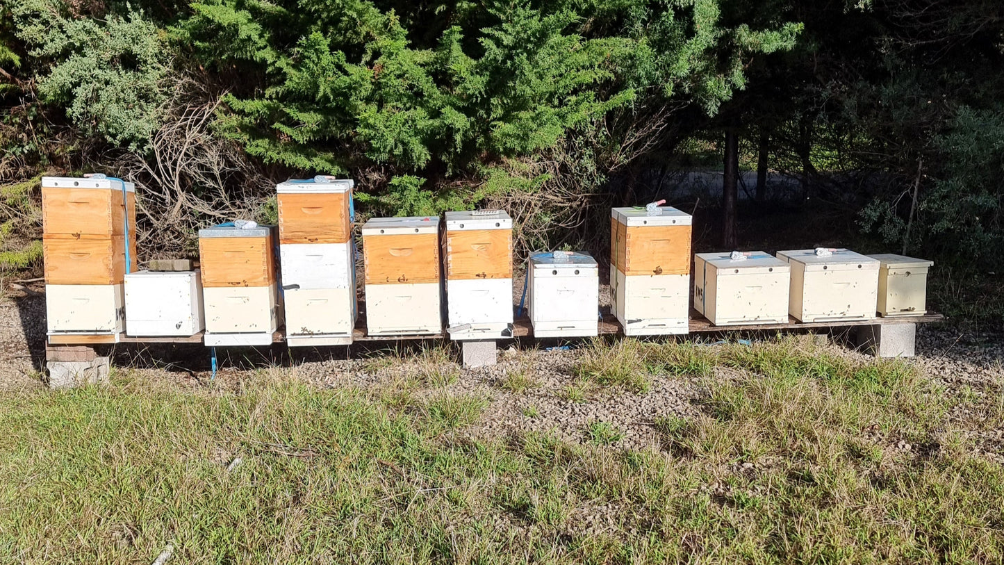 Small Batch Spring Honey