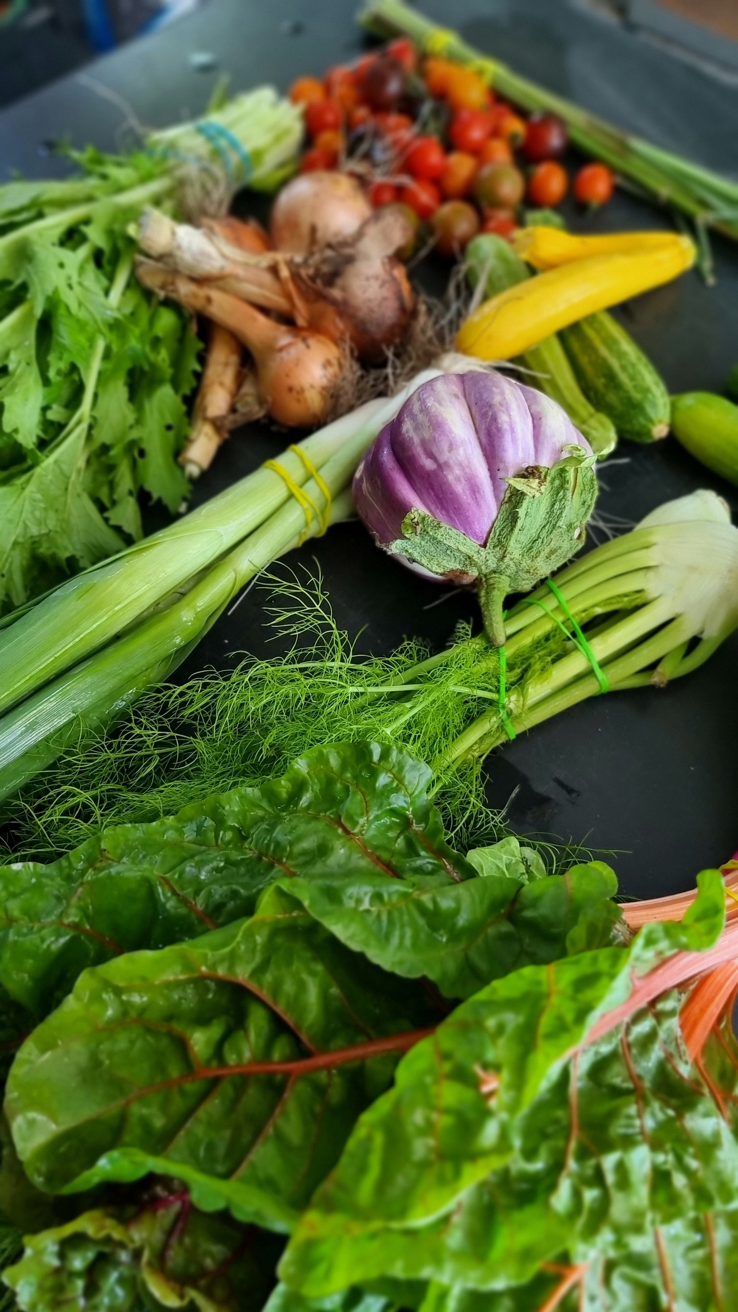 Farmers Choice Veggie Box