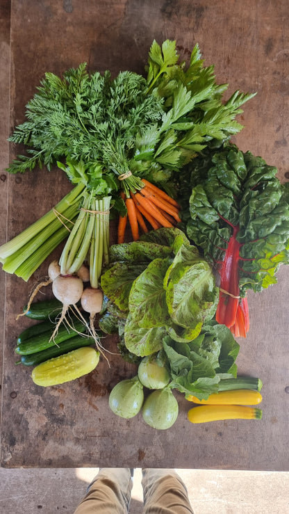 Farmers Choice Medium Veggie Box