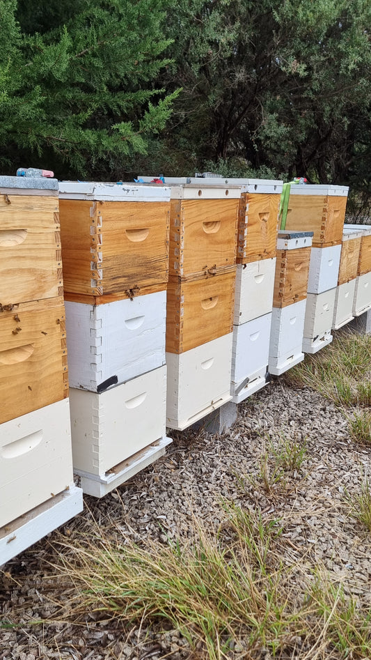 Hive Partner programme