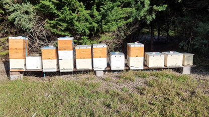 Local Flora Honey - 700g