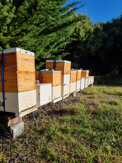 Local Flora Honey - 700g