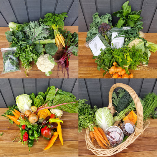 CSA Large Vegetable Box - Spring Term Programme (11 weeks)