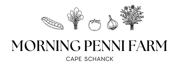 Morning Penni Farm