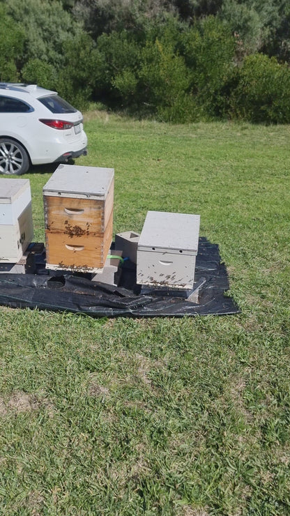 Hive Partner programme